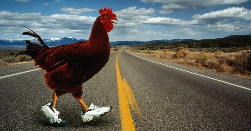 Ontdek de Smakelijke Avonturen van Chicken Road Casino Spelen in Nederland, chicken road slot