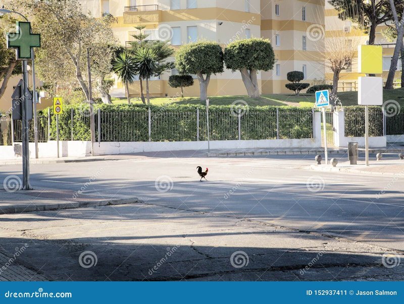 Best chicken road in Spain